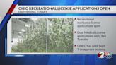 Now open: Recreational marijuana license applications