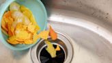 4 Ways to Clean a Smelly Garbage Disposal