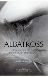 Albatross