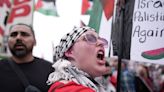 Police deploy pepper spray as crowd protesting Israel's war in Gaza marches toward US Capitol