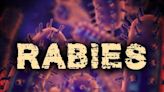 Skunk tests positive for rabies in Blackwell