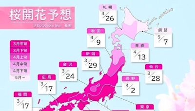 日本關西櫻花3月底滿開 買近鐵電車周遊券賞櫻最划算
