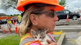 DOT worker rescues kitten thrown from vehicle on Genesee Street in New Hartford