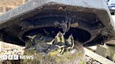 Stowmarket depot sees great tit family nest in cone