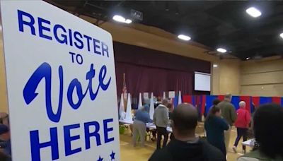 DNC committee votes to count New Hampshire's delegates at national convention