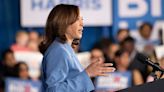 Democrats wrestle with whether Harris would be stronger than Biden