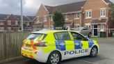 Man stabbed after challenging group who were smashing house windows