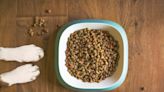 What We Know About Social Media Reports that Purina Dog Food Caused Pets' Deaths