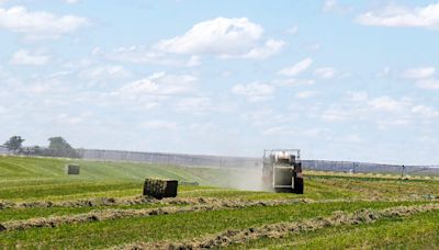 Words of lament and hope for Kansas as big agriculture eradicates farmland traditions