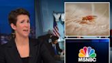 MSNBC staffers scatter after bed bugs found at Manhattan HQ ahead of Super Tuesday coverage: ‘They’re scrambling’