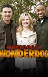 Underdog to Wonderdog