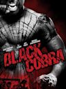 Black Cobra