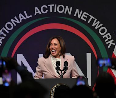 The Kamala Harris coconut tree quote, explained: What do all the memes from the ‘KHive’ mean?