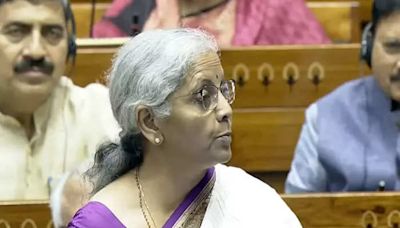 Union Budget 2024: What FM Nirmala took from your pocket, what she gave you | Business Insider India