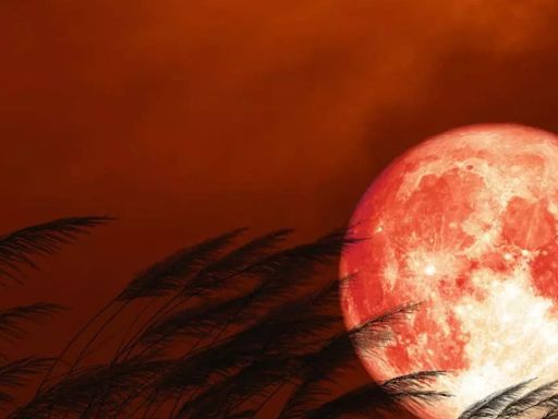 Strawberry Moon 2024: Best viewing time to witness the celestial event in US