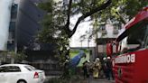 Incêndio atinge área externa do metrô em Botafogo; fumaça fez estação Flamengo ser fechada
