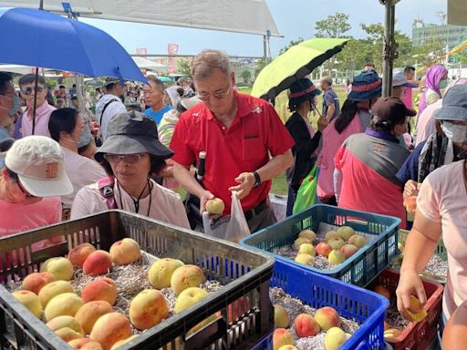 台中梨山水蜜桃馬卡龍公園特賣 每顆10元限量300顆