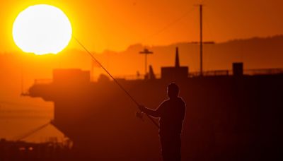 California heat wave raises deadly wildfires, blackout risk over 4th of July holiday week