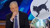 Jon Stewart tearfully announces death of his dog Dipper on ‘The Daily Show’