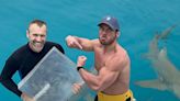 An ultra-swimmer tried to eat as much as a tiger shark and ended up consuming 40,000 calories in a day