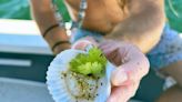 What to Know Before You Go Scallop Harvesting in Florida