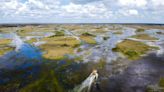 Florida airboat flips sending 9 passengers into gator-infested waters, operator arrested