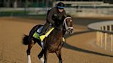 Forte had to skip the Kentucky Derby. Here’s why he isn’t racing in the Preakness, either.