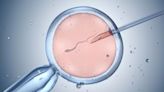 Can IVF Have 100% Success Rate? Expert Debunks Myths Around The Procedure