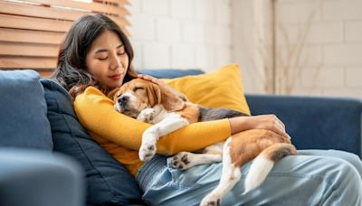 Avisan a dueños de mascotas en Colombia por drástico cambio que viene; tramitarán ley