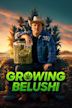 Growing Belushi