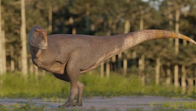 Hallan un dinosaurio carnívoro que vivió en la actual Argentina hace 69 millones de años