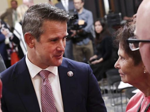 'These are not squishy moderates': Fmr. Republican reacts to Biden picking up Kinzinger endorsement