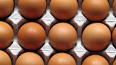 20 States That Produce the Most Eggs in the US