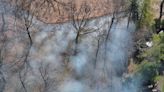 Fire crews carry out 'traditional and prescribed' burn in High Park