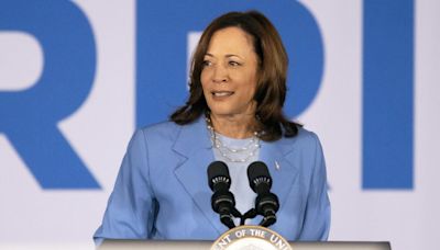 Kamala Harris: ¿la mejor mejor carta demócrata por razones de tiempo y dinero?