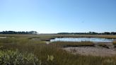 Eastern Shore wetlands get boost with new Maryland legislation. Here's what's in works.
