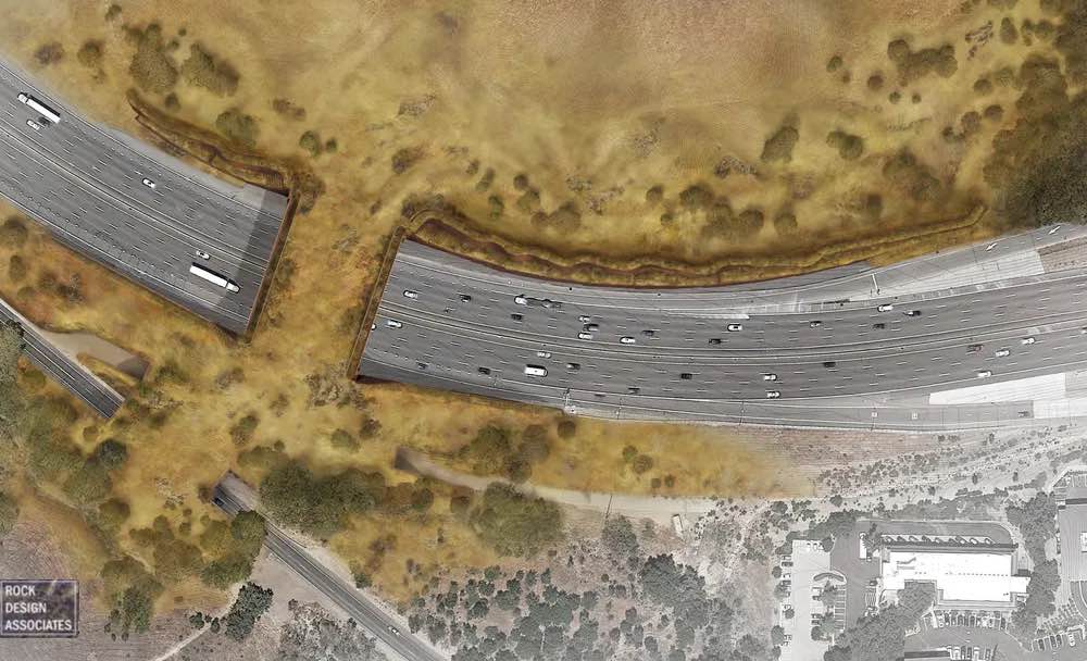 World’s Largest Wildlife Crossing is Going Up So Animals Can Walk Safely Over 8 Lanes of L.A. Traffic