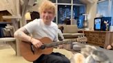 Ed Sheeran Returns to Cat Cafe 10 Years Later to Impress Felines with a Song — and Fails Again!