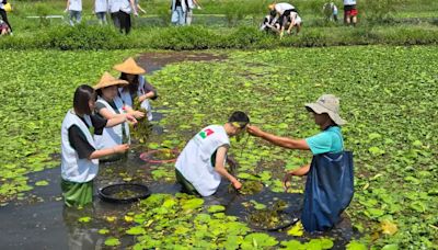 企業社會責任！信義房屋助美濃湖水雉復育