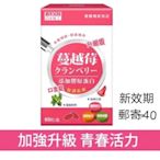 味王日本蔓越莓口含錠60粒,郵寄40