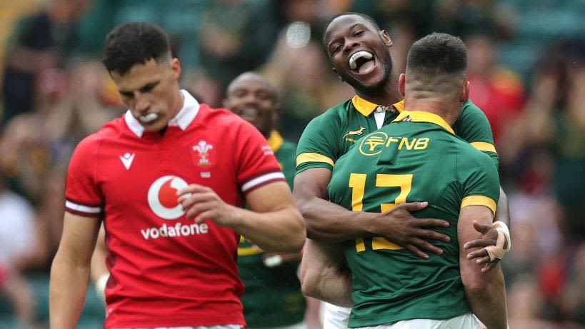 South Africa ease to five-try win over Wales