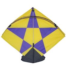 Kite, Patang, fighter kite, – PatangDori.com