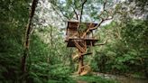 Luxury Tree Houses Are Suddenly Offering 5-Star Resort Experiences All Around the Globe