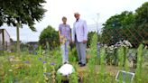 New dementia-friendly sensory garden opens at library