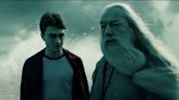 ‘Harry Potter’ Fans Honor Michael Gambon With Raised Wands Outside Hogwarts Castle in Orlando (Video)