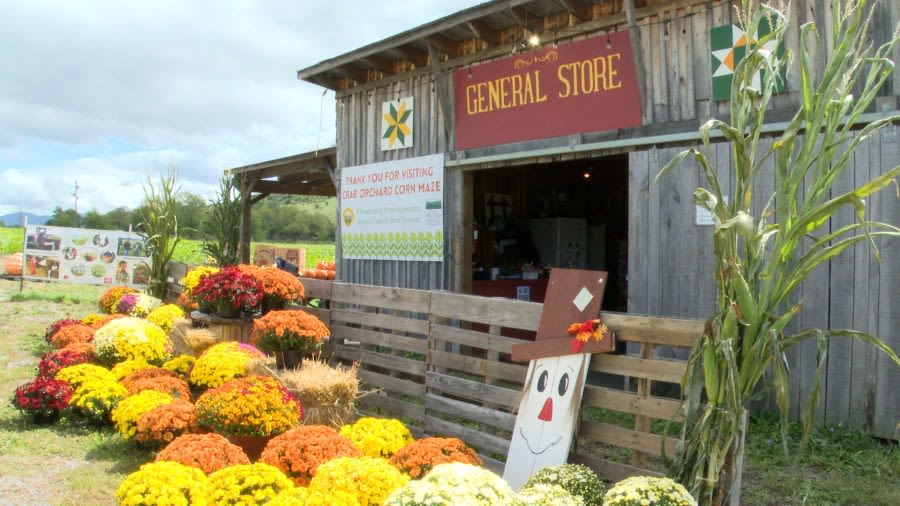 Crab Orchard Corn Maze opens to ring in the coming fall season