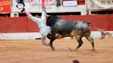 El torero Román Collado evoluciona favorablemente y podría volver en breve a España
