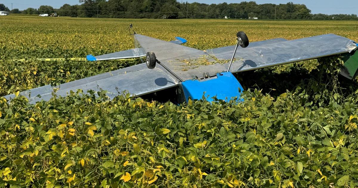 82-year-old man dies in southern Indiana plane crash, police say