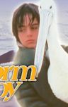 Storm Boy (1976 film)