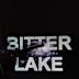 Bitter Lake (film)